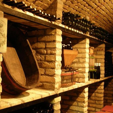 Borbaratok Panzio Hotel Badacsonytomaj Ngoại thất bức ảnh