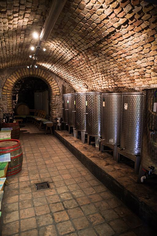 Borbaratok Panzio Hotel Badacsonytomaj Ngoại thất bức ảnh